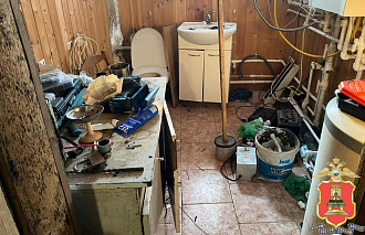 В котельной дома у жителя Конаковского района полицейские нашли марихуану - новости Афанасий