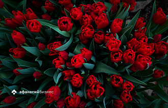 Опубликована афиша мероприятий, посвященных Международному женскому дню - новости Афанасий