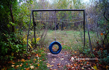 Предприятие заплатит сто тысяч рублей за сорняки на сельхозучастке - новости Афанасий