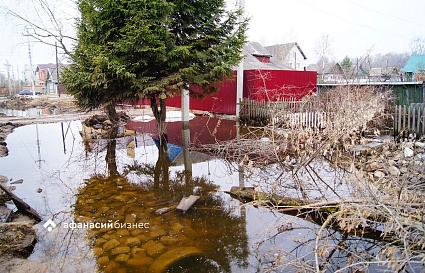 Жителям Тверской области дали рекомендации по защите жилья  в период паводков - новости Афанасий