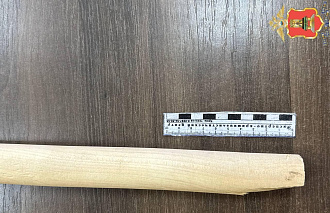 В Кесовой Горе нетрезвый конфликт завершился ударом черенком лопаты - новости Афанасий