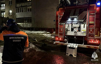 В квартире на Громова в Твери случился пожар - новости Афанасий