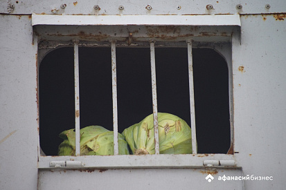 Тверская область: вывозили  муку, ввозили капусту - новости Афанасий