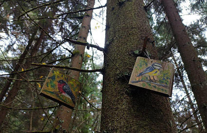 В Тверской области с 10 апреля установлен пожароопасный период - новости Афанасий