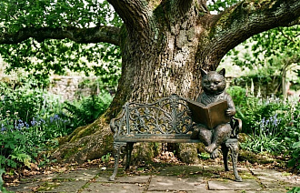 Во Ржеве рядом с 200-летним дубом установят скульптуру кота учёного - новости Афанасий