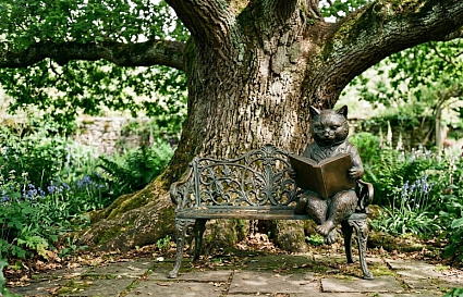 Во Ржеве рядом с 200-летним дубом установят скульптуру кота учёного - новости Афанасий