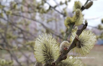 В ближайшие дни погода в Твери будет по-майски теплой