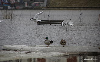 Март 2026 года в Твери шесть раз побил рекорды тепла