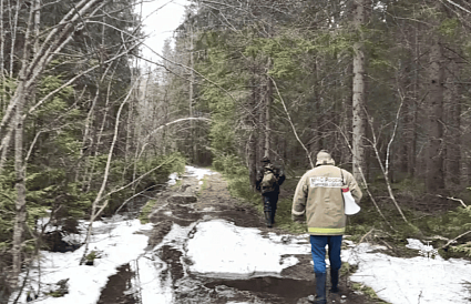 Под Жарками в Тверской области женщина пошла за клюквой и потерялась - новости Афанасий