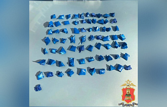 В Твери задержали мигранта-закладчика с крупной партией наркотика - новости Афанасий