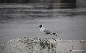 Сегодня в Твери еще тепло, но погода начинает портиться