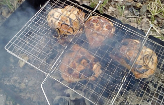 Дачникам грозит штраф до 15 тыс рублей за неправильное использование мангала