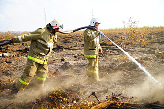 В Тверской области свыше 4 га сгорело из-за палов сухой травы - новости Афанасий