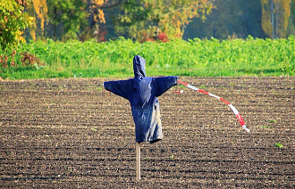 Аферистка из Кимр незаконно получила и продала участок земли - новости Афанасий