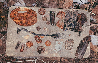 В Зубцовском районе подняли останки трех бойцов свердловской дивизии - новости Афанасий