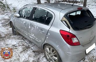 В Тверской области пенсионерка опрокинула машину в кювет - новости Афанасий