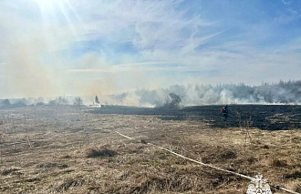 В Тверской области сгорело более 13 га в результате палов травы - новости Афанасий