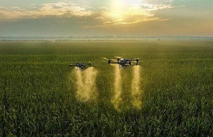 Дрон и робот будут уничтожать борщевик в Ржеве - новости Афанасий