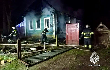 Два человека погибли в огне пожара под Торжком в Тверской области - новости Афанасий