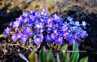 Погоду в Твери сегодня определяет холодный атмосферный фронт