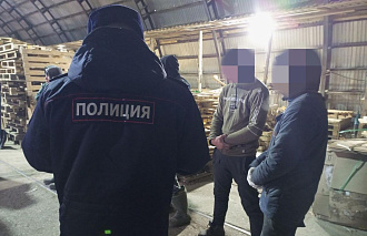 В Рамешках мигрант записал ребенка на брата ради ВНЖ - новости Афанасий