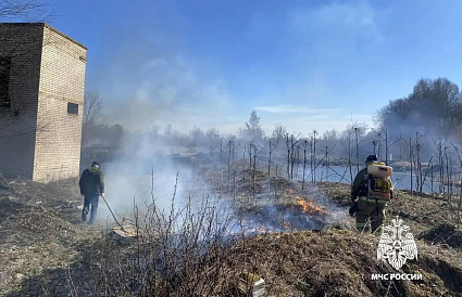 Еще 21 га в Тверской области сгорел из-за пала травы - новости Афанасий