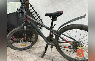 В Вышнем Волочке курьер облегчил свой труд, украл у ребенка велосипед - новости Афанасий