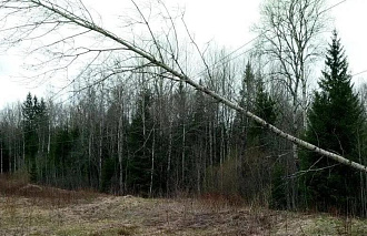 Более ста бригад восстанавливают в Тверской области электроснабжение  - новости Афанасий