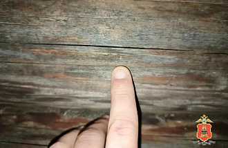 Под Кувшиново в Тверской области мужчина спрятался в камышах и открыл стрельбу  - новости Афанасий