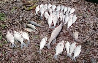 В Весьегонске задержан браконьер с сетью - новости Афанасий