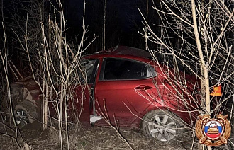 В ДТП из-за лося на М9 в Тверской области пострадали водитель и пассажир - новости Афанасий