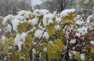 В Тверской области высота снежного покрова достигла 15 см