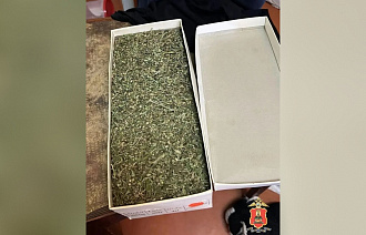 В Твери задержали мужчину с  коробкой из-под обуви, полной марихуаны - новости Афанасий