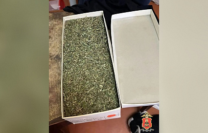 В Твери задержали мужчину с  коробкой из-под обуви, полной марихуаны - новости Афанасий
