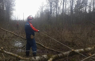 Восстановление электроснабжения находится под личным контролем Виталия Королева - новости Афанасий