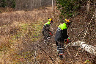 Энергетики продолжают работы по восстановлению электроснабжения в Тверской области - новости Афанасий