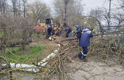 В Твери за четыре субботника вывезли 700 кубометров мусора - новости Афанасий