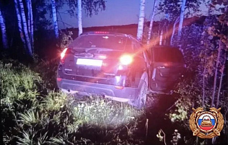 Автомобиль вылетел с дороги и врезался в дерево под Тверью - новости Афанасий