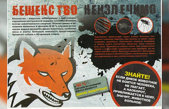 На одной из улиц Торжка установлено подозрение на бешенство - новости Афанасий
