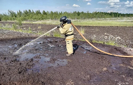 Под Тверью у поселка Орша потушили торфяной пожар - новости Афанасий