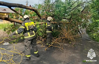 Прокуратура проверит сроки отключения электроэнергии в Тверской области 