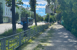 На улицах Твери косят траву и оформляют клумбы - новости Афанасий