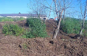 На берегу реки в Рамешковском районе складировали навоз - новости Афанасий