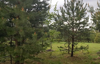 Под Лихославлем у собственника изъято два неиспользуемых участка сельхозземли - новости Афанасий