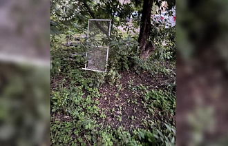 В Осташкове из окна выпали две 10-летние девочки - новости Афанасий