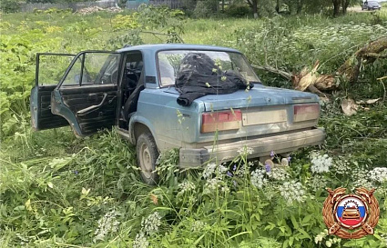 Под Оленино в Тверской области ВАЗ вылетел с дороги и врезался в дерево - новости Афанасий