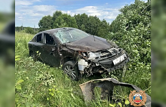 В Весьегонском районе нетрезвый водитель налетел на дерево - новости Афанасий