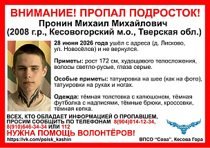 Еще один подросток пропал в Кесовогорском районе - новости Афанасий