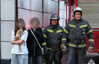 В Нелидово пожарные вернули сбежавшего кота его хозяйке - новости Афанасий