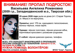 В Западнодвинском районе ищут девочку-подростка - новости Афанасий